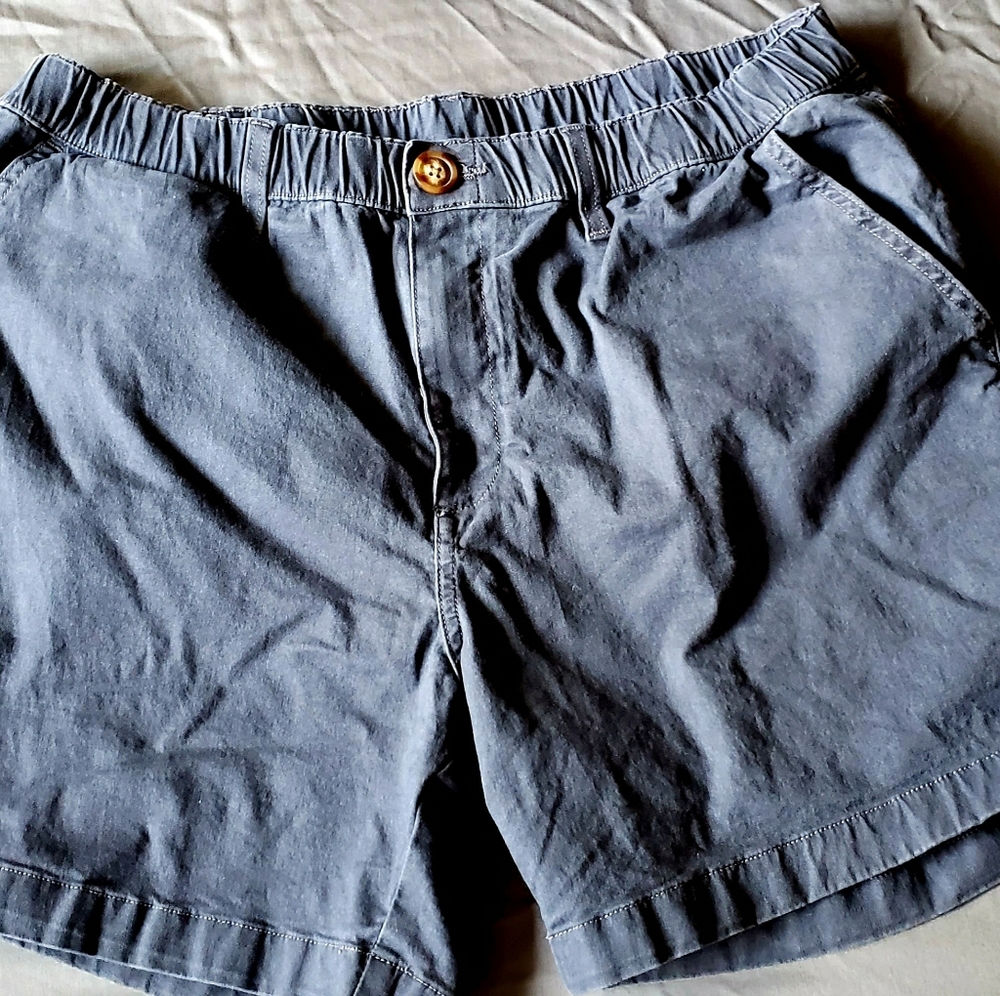 Chubbies Men 5.5 Shorts LG Stretch